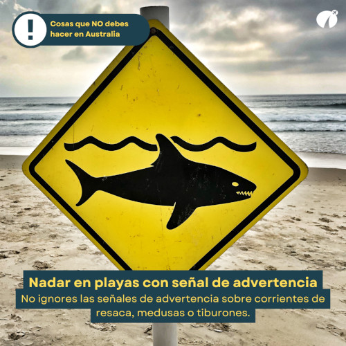 Nadar en playas con advertencias