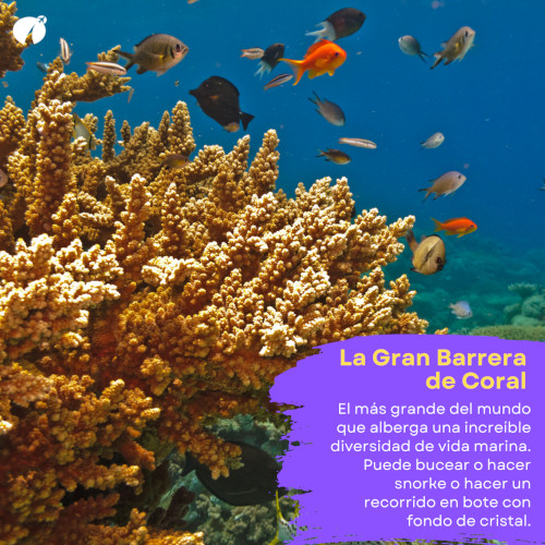 La gran barrera de coral