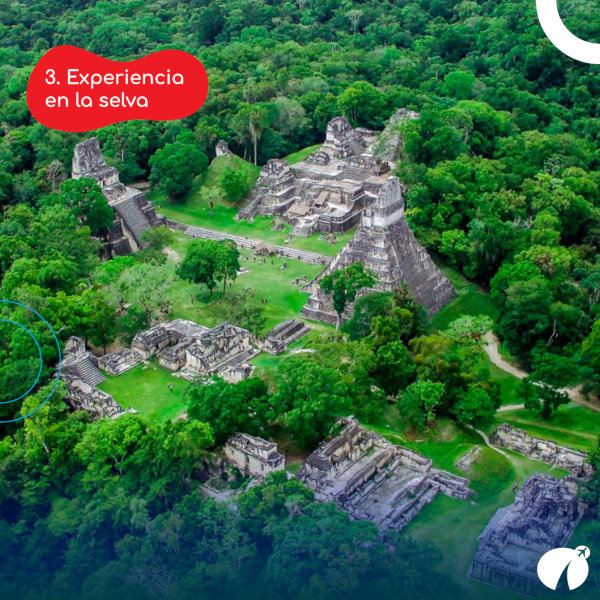 Razón 3 para visitar Tikal